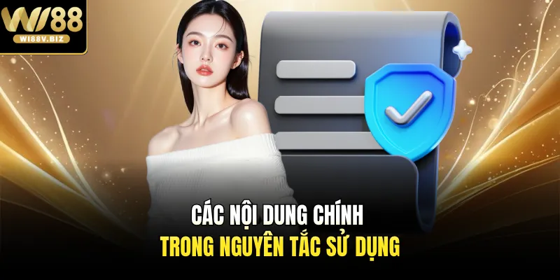 Các nội dung chính trong nguyên tắc sử dụng