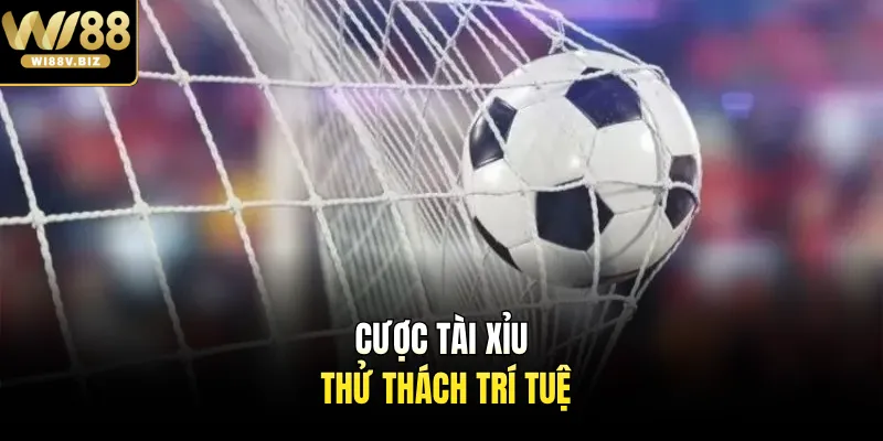 Cược tài xỉu thử thách trí tuệ