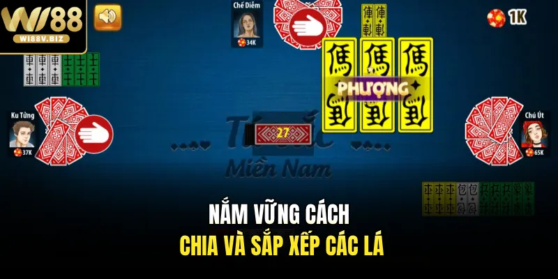 Nắm vững cách chia và sắp xếp các lá