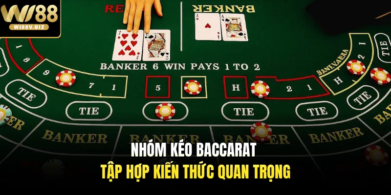 Nhóm kéo Baccarat tập hợp kiến thức quan trọng