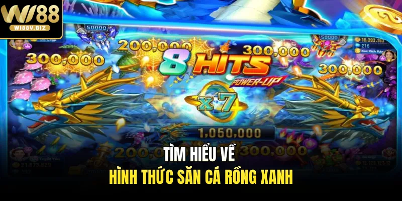 Tìm hiểu về hình thức săn cá rồng xanh