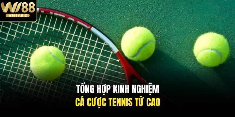 Tổng hợp kinh nghiệm cá cược tennis từ cao 