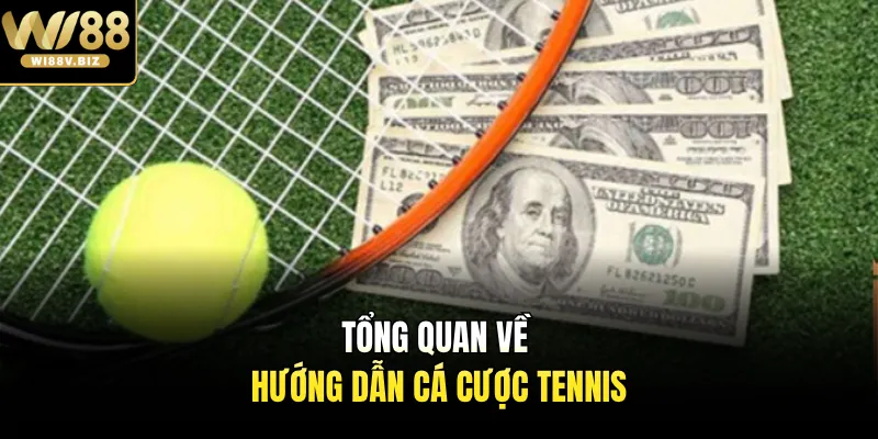 Tổng quan về hướng dẫn cá cược tennis