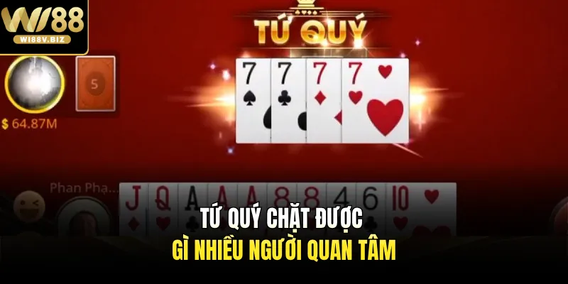 Tứ quý chặt được gì nhiều người quan tâm